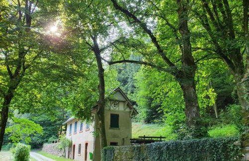 Odenwald-Lodge mit Infrarotsauna und E-Ladestation im Naturpark Odenwald "Haus Himmelblau" - Foto 25