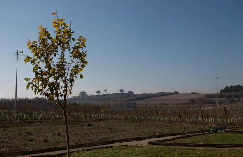 Entre Vinhas & Mar - Foto 71