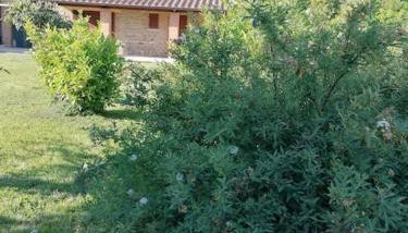 il boschetto da Tiziana - Foto 2