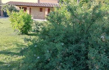 il boschetto da Tiziana - Foto 2