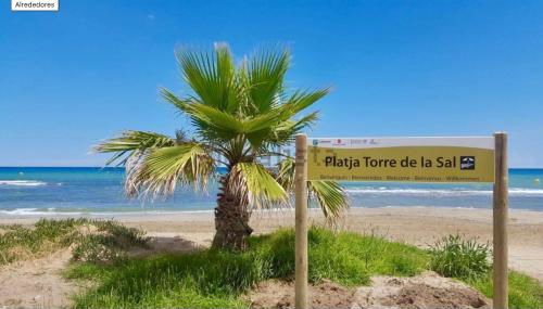 Bajo con gran terraza en Ribera de Cabanes - Photo 2