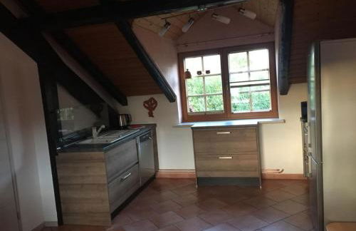 Zur alten Fahrschule - Foto 18