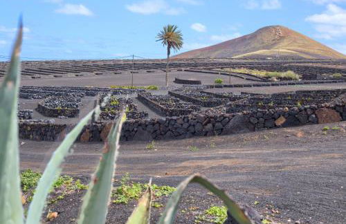 Tea-Rose Loft - Photo 17