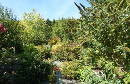 Dans un jardin - Foto 11