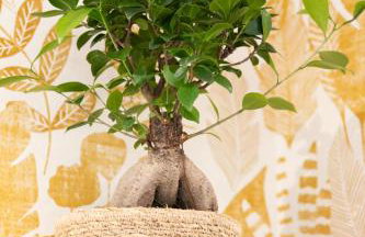 Le Maleville - Appartements de Standing - Foto 79