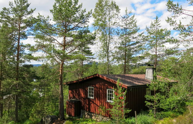 Telemarkshytta - Foto 11