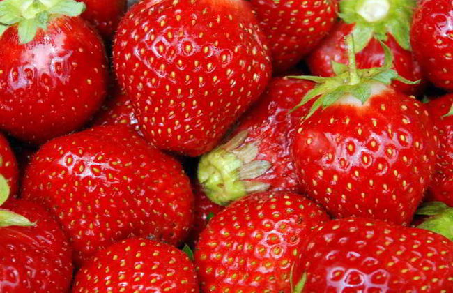 Leo Punta Umbria - Foto 46