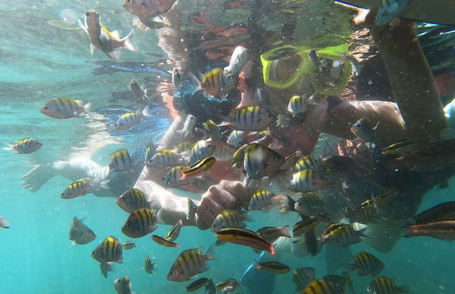 Snorkeling at Las Gatas Beach - Photo 5