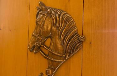 La Veranda nella Neve - Camigliatello Silano - Foto 30