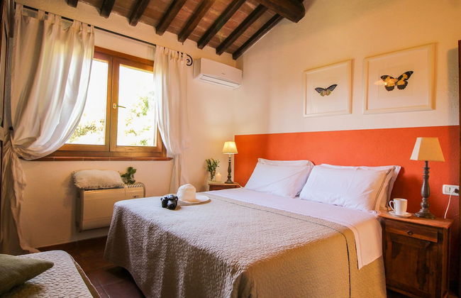 Boschi di Montecalvi - Foto 61