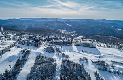 Allegheny Spg - Cozy Condo Ski from our patio - Foto 11