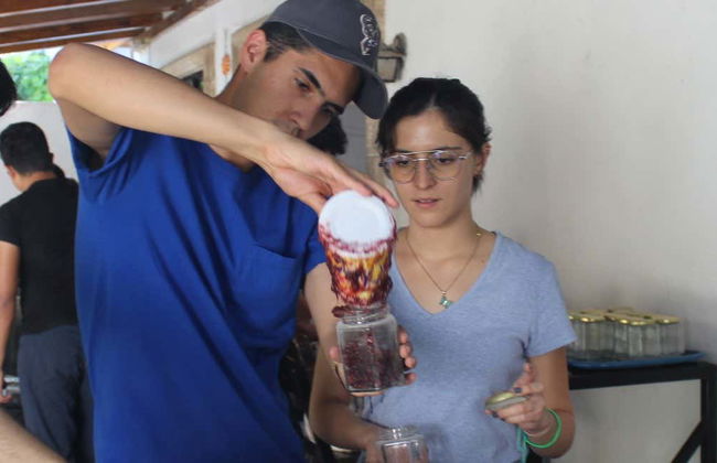 Atelier de confiseries de Parras de la Fuente - Photo 1