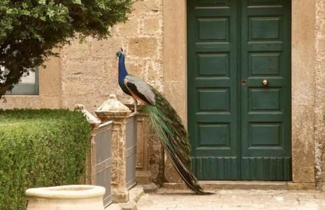 Agriturismo Savoca - Foto 36