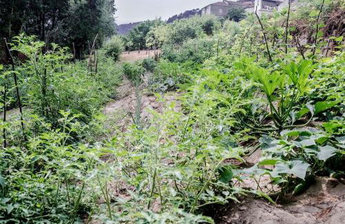 Aldea Rural Pazos De Arenteiro - Foto 43