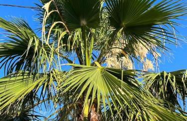 Villa Napoléon Piscine&Jacuzzi - Foto 56