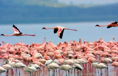 Sardinian Wind House , casa vacanze Sud Sardegna - Foto 11