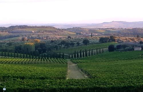 La casa di Elvira - Foto 36