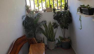 Residencial Jasmim Apto Standard 04 - Foto 3