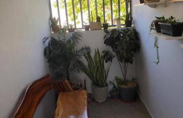 Residencial Jasmim Apto Standard 04 - Foto 3