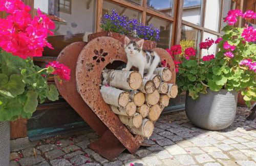 Bauernhof Süßhof - Foto 54