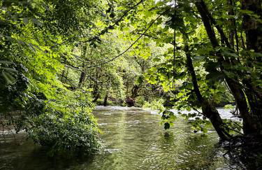 Lar da cima - Foto 57