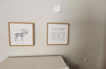 Chandler Hill Base Camp - Enjoy A Nature Getaway in this Rustic Home in the Mountains, 10 minutes from Sunday River Ski Mountain! home - Foto 46