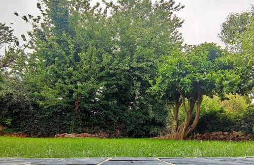 Encuentra el norte en la "Casa del buen camino" - Foto 23