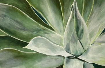 Casa Las Olas - Foto 28