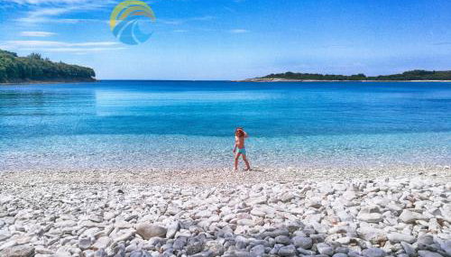 Apartments Dvorine 1210 - Foto 3