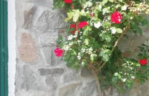 la casa nel bosco - Foto 9