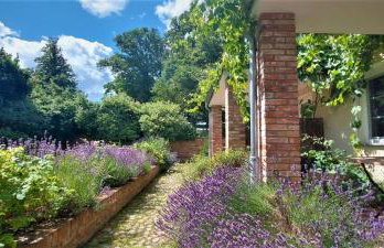 Landhaus Krummin - Foto 35