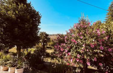 Vila Adelaide - Foto 6