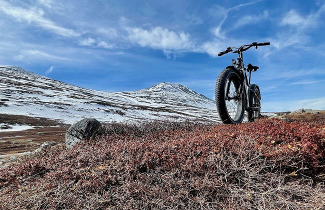 Gausta View - Photo 25