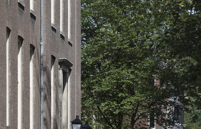 Wittenberg by Cove - Foto 75
