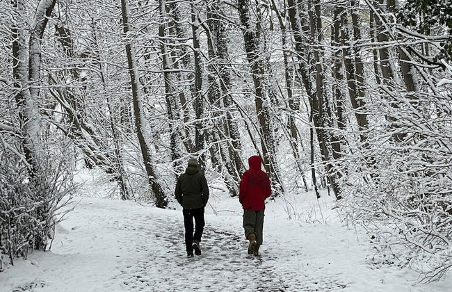 Flat in Eutin on the Kleiner Eutiner See Lake - Photo 20