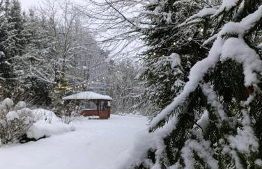 Leśny Dwór Bieszczady - Foto 41