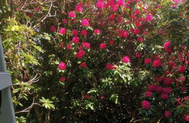 Treeside woodhouse - Foto 65