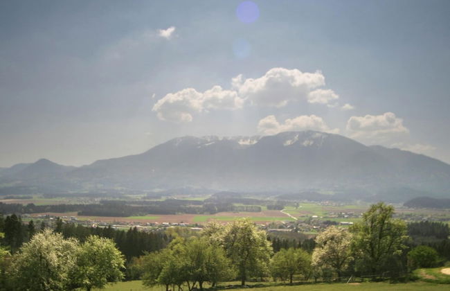 Apartment in Bleiburg Near Petzen Ski Area - Foto 29