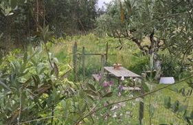 Casa Limonina - Foto 51