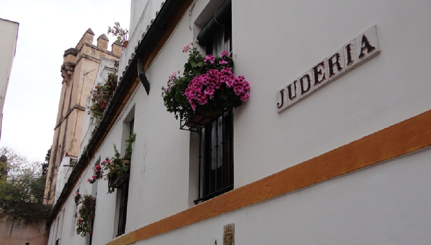 Siviglia Incantata - Visita guidata in spagnolo - Foto 2