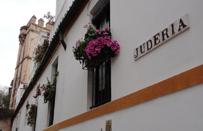 Siviglia Incantata - Visita guidata in spagnolo - Foto 2