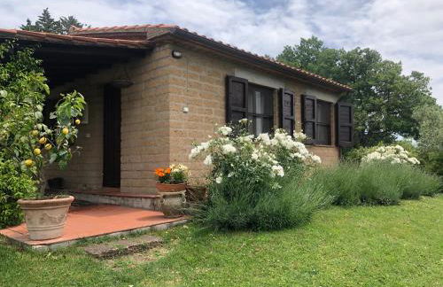 Monolocale La Mimosa - Foto 11