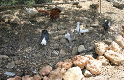 Casas Rurales La Loma Del Carrascal - Foto 37