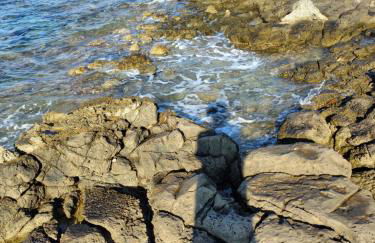 Da Pina sud - Foto 58