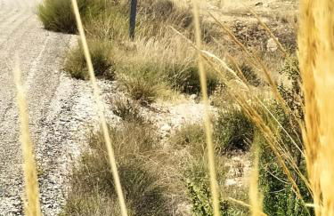 Casas Rurales Mirador del Taibilla - Foto 48