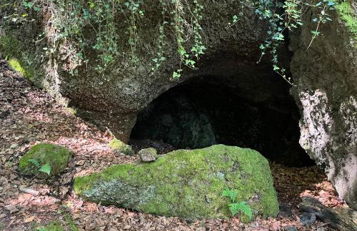 Ferienwohnung Basaltliebe Mendig - Foto 26