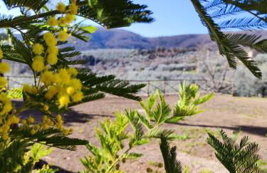 Villino Giulio - Foto 8