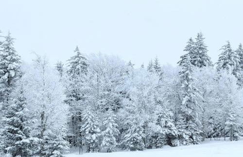 Snowshoe Ski-in & Ski-out at Silvercreek Resort - Family friendly, jacuzzi, hot tub, mountain views - Foto 26