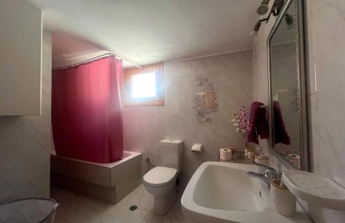 Eleocharis near Amfilochia & Amvrakikos Gulf - Foto 40