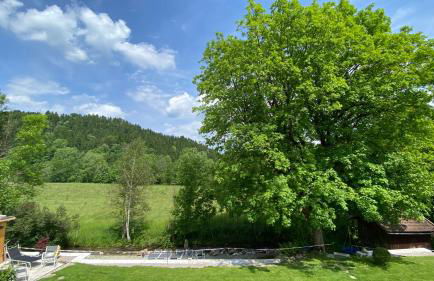 Pure Nature Munich - Alps - Foto 19